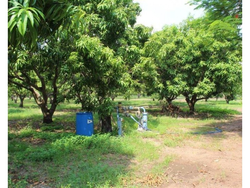 65 Stephen Road, Marrakai NT 0822