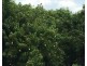 65 Stephen Road, Marrakai NT 0822