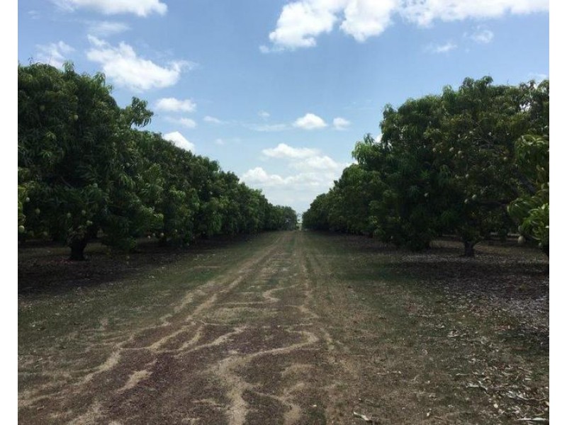 65 Stephen Road, Marrakai NT 0822