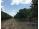 65 Stephen Road, Marrakai NT 0822