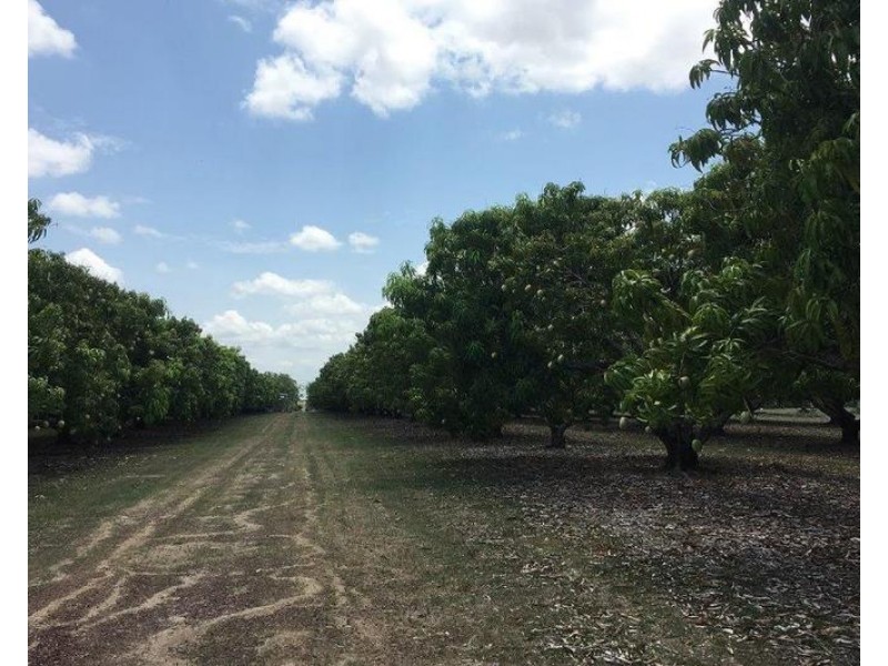 65 Stephen Road, Marrakai NT 0822