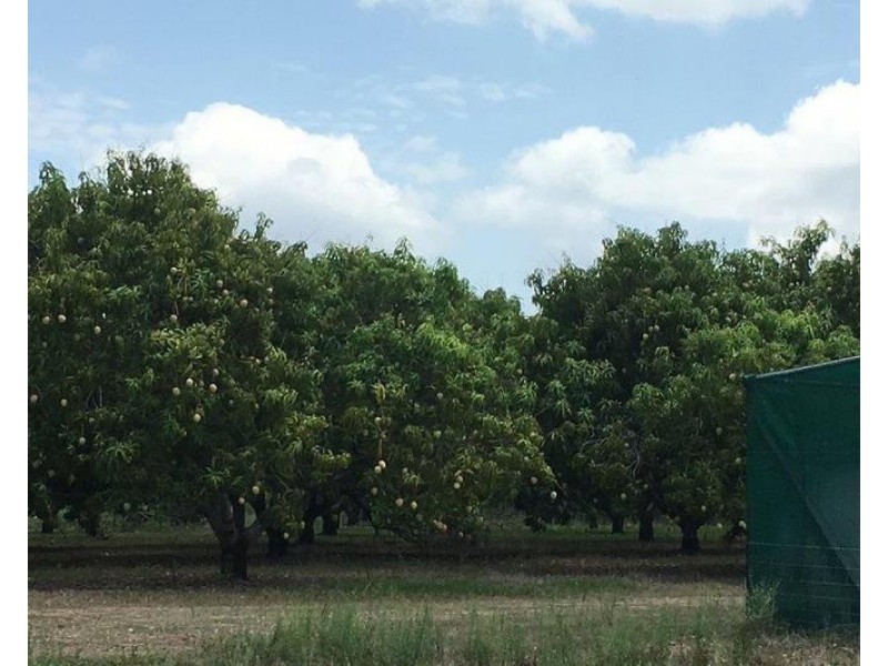 65 Stephen Road, Marrakai NT 0822