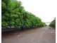 Lot 4607 Stephen Road, Marrakai NT 0822