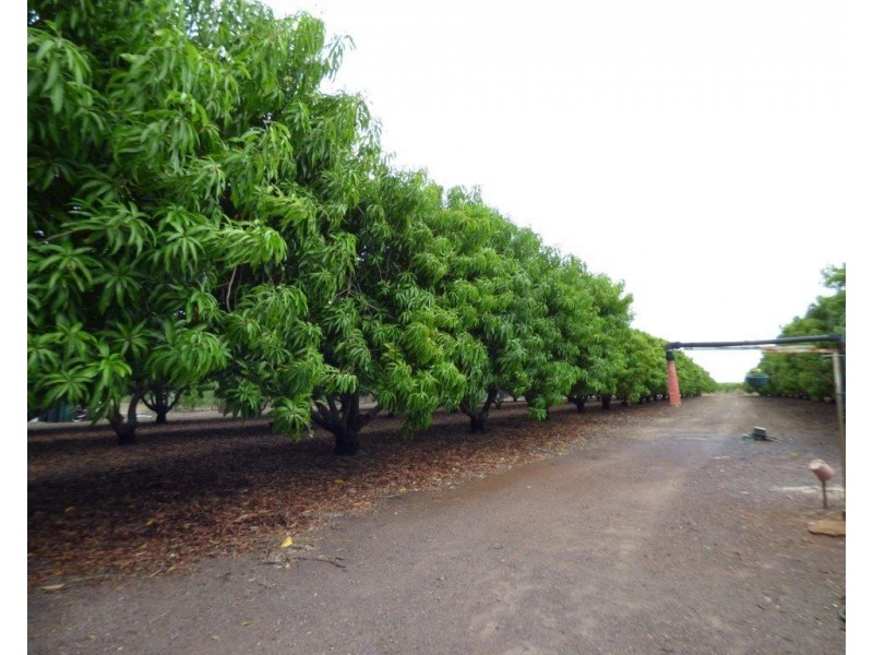 Lot 4607 Stephen Road, Marrakai NT 0822