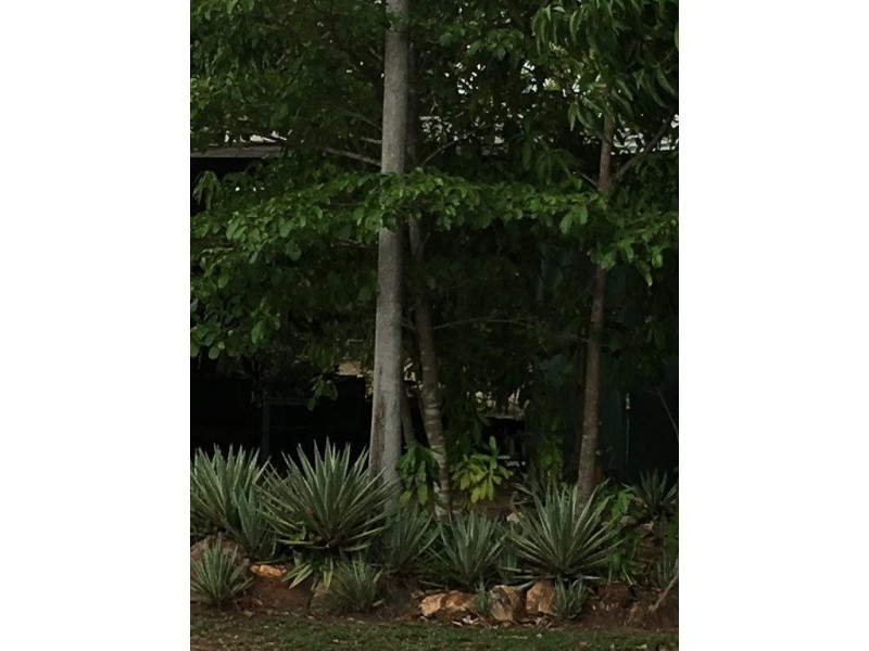 545 Litchfield Park Road, Finniss Valley NT 0845