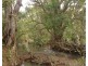 295 Wright Road, Marrakai NT 0822