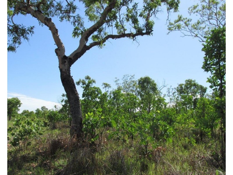 295 Wright Road, Marrakai NT 0822