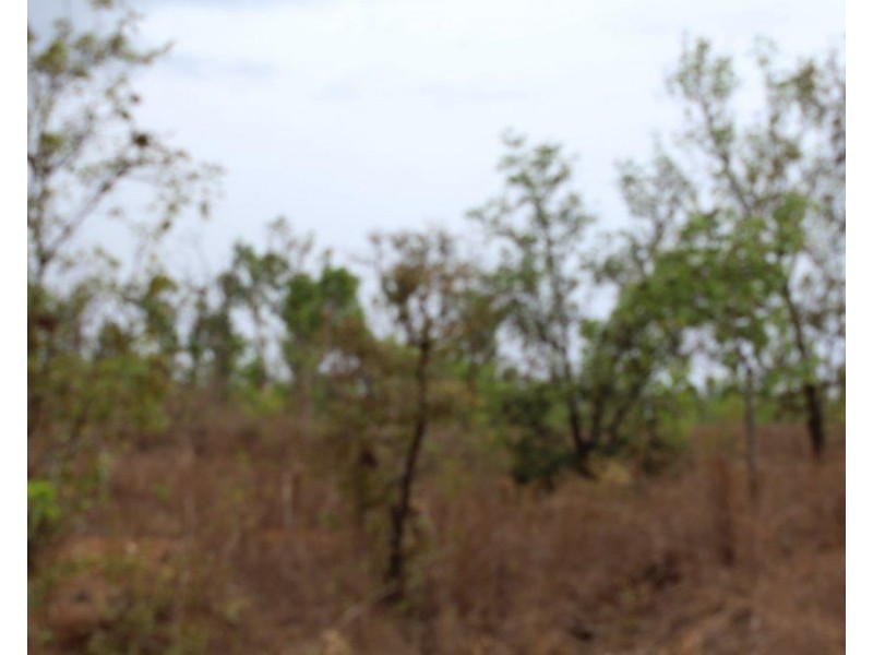 295 Wright Road, Marrakai NT 0822