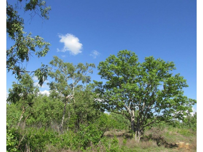 295 Wright Road, Marrakai NT 0822