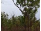 295 Wright Road, Marrakai NT 0822