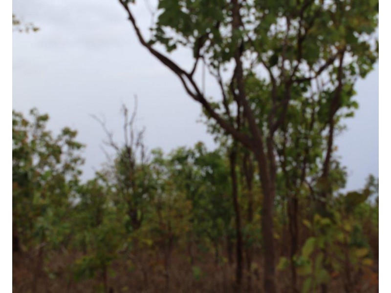 295 Wright Road, Marrakai NT 0822