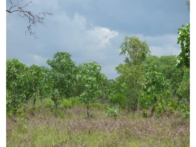 295 Wright Road, Marrakai NT 0822