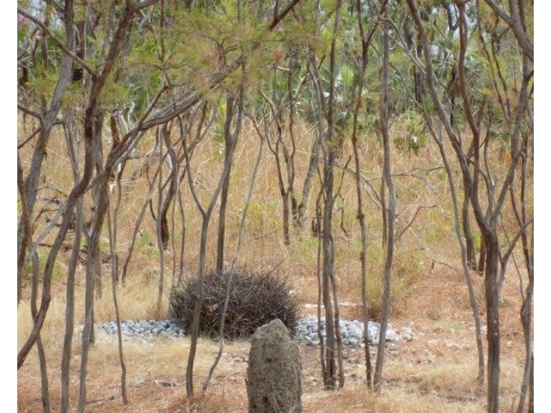 61 Brougham Road, Darwin River NT 0841