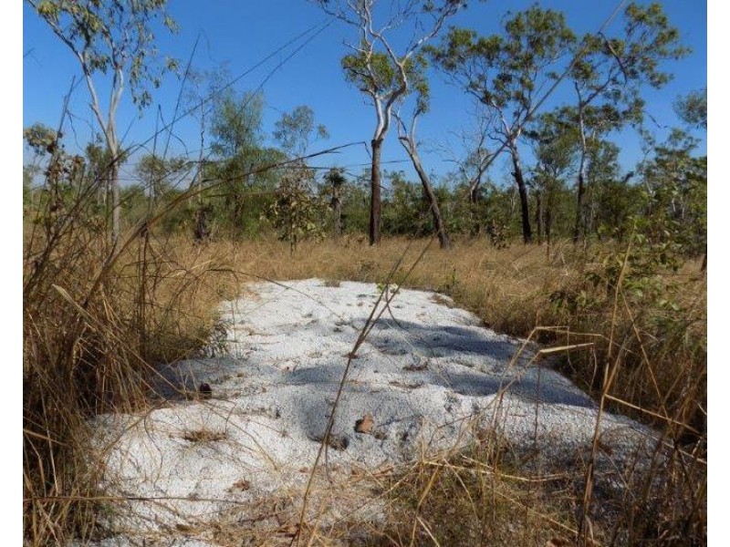 61 Brougham Road, Darwin River NT 0841