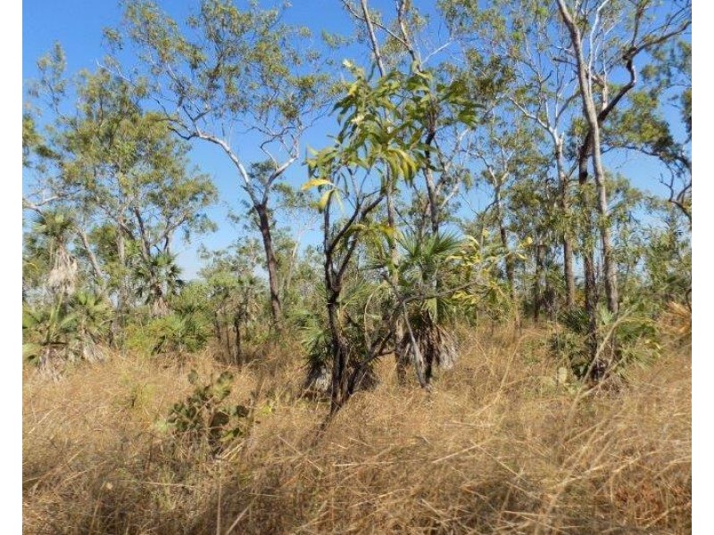 61 Brougham Road, Darwin River NT 0841