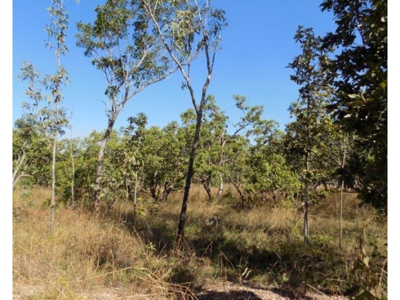 61 Brougham Road, Darwin River NT 0841