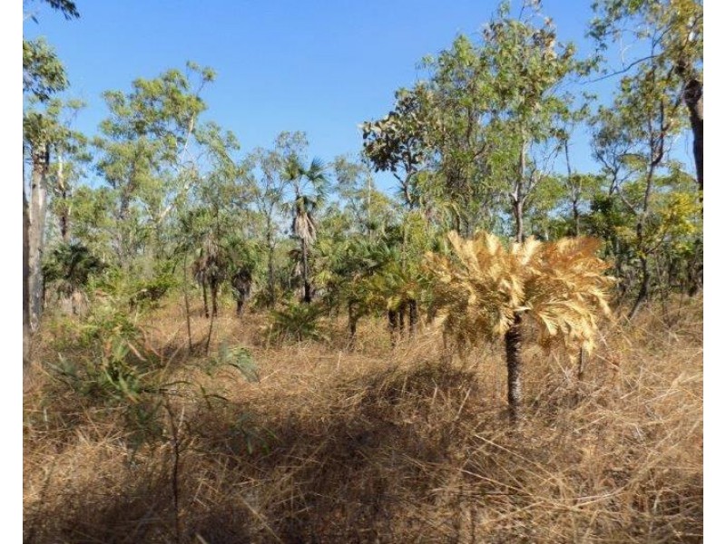 61 Brougham Road, Darwin River NT 0841