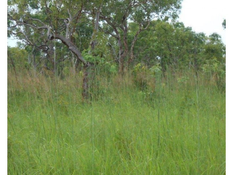 61 Brougham Road, Darwin River NT 0841