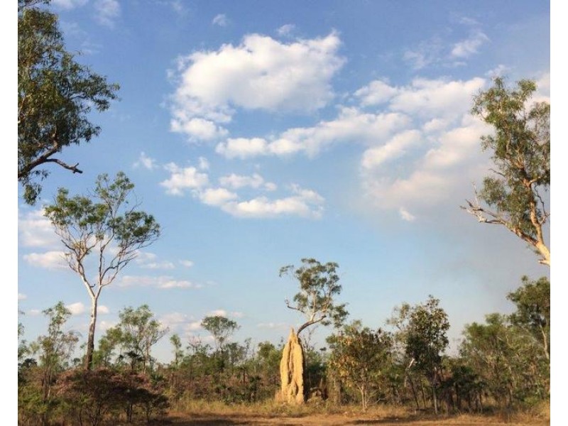 Lot 2626 Brougham Road, Fly Creek NT 0822