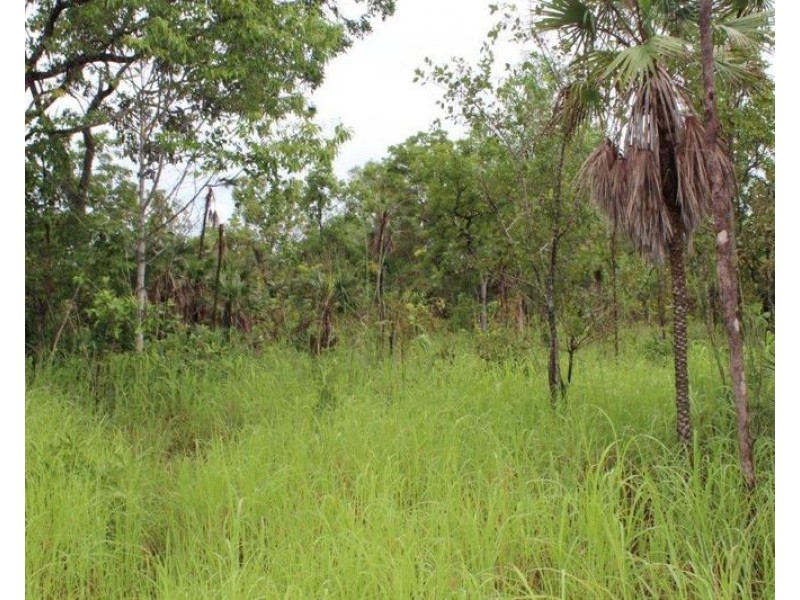 Lot 2626 Brougham Road, Fly Creek NT 0822