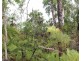 Lot 2626 Brougham Road, Fly Creek NT 0822