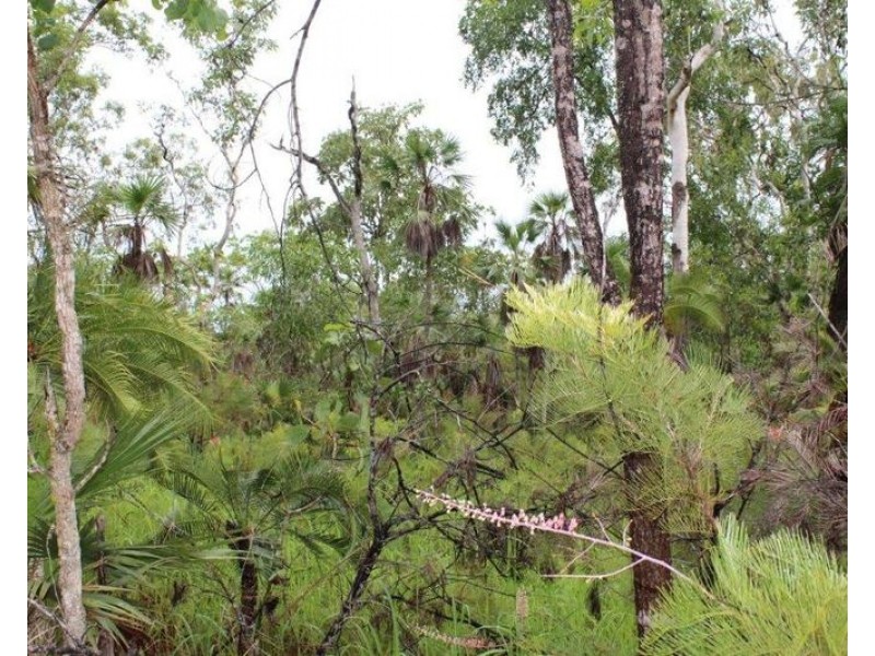Lot 2626 Brougham Road, Fly Creek NT 0822