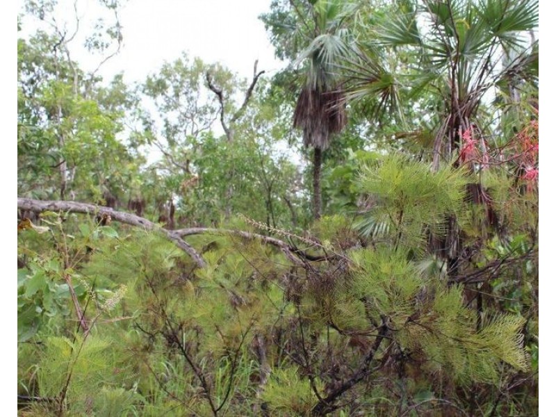 Lot 2626 Brougham Road, Fly Creek NT 0822