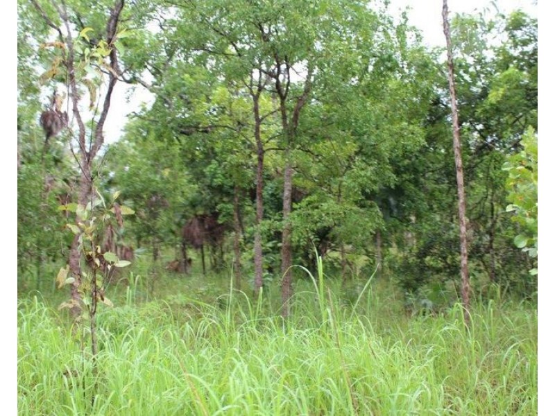 Lot 2626 Brougham Road, Fly Creek NT 0822