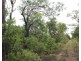 Darwin River NT 0841