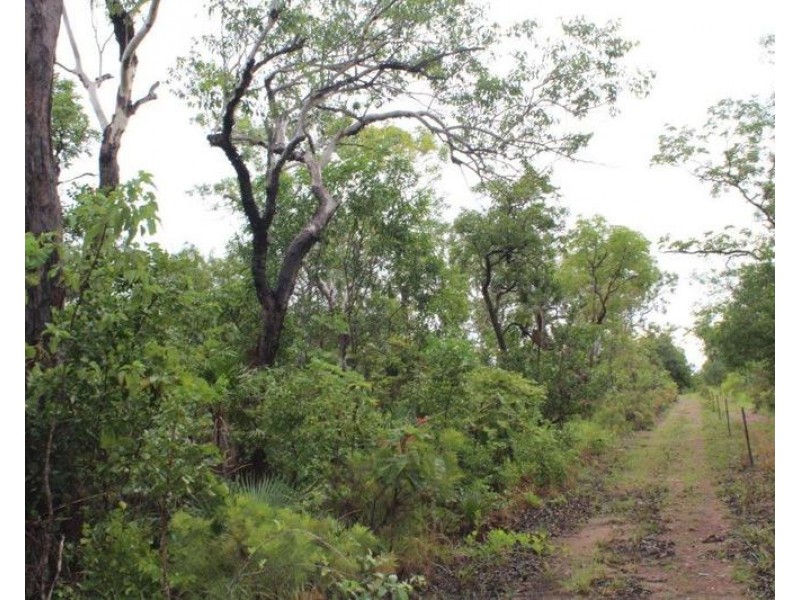 Darwin River NT 0841