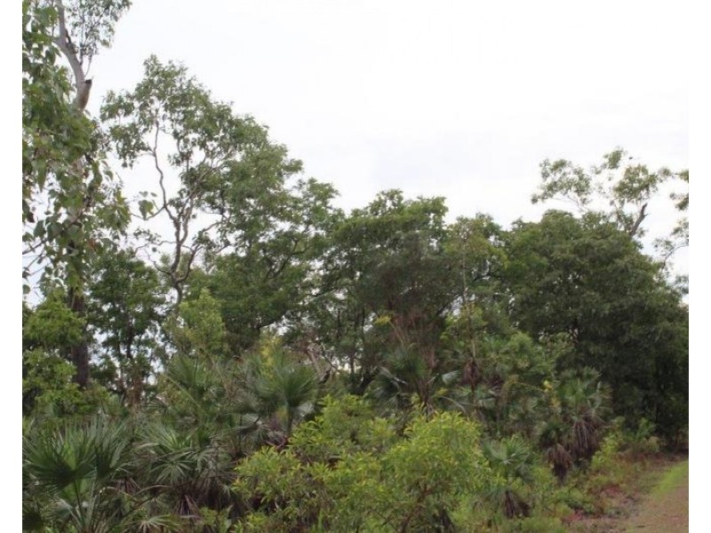 Darwin River NT 0841