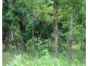 Darwin River NT 0841