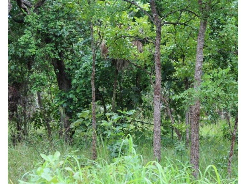 Darwin River NT 0841