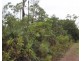 Darwin River NT 0841