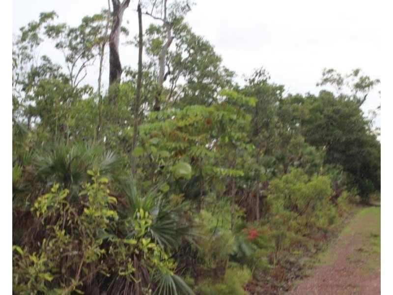 Darwin River NT 0841
