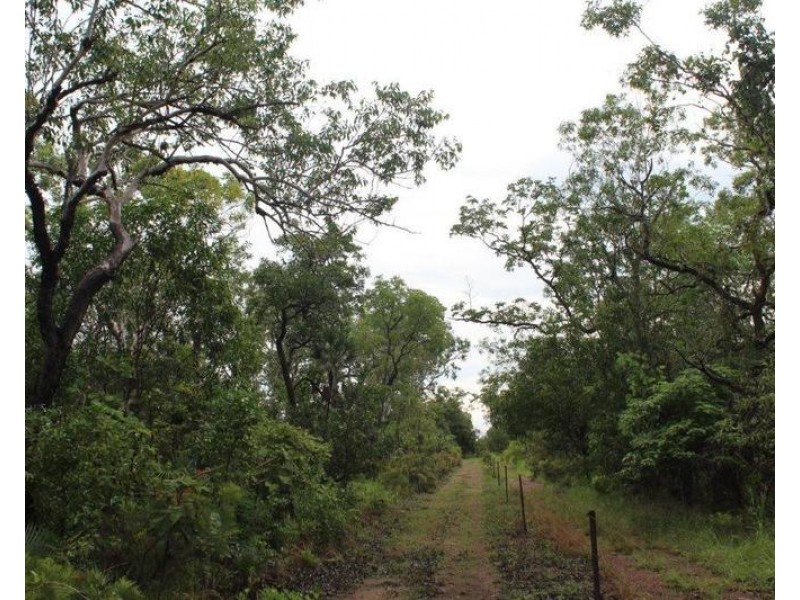 Darwin River NT 0841