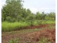 Darwin River NT 0841