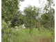 Darwin River NT 0841
