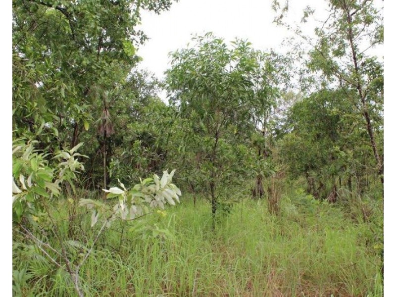 Darwin River NT 0841