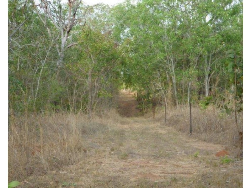 Darwin River NT 0841
