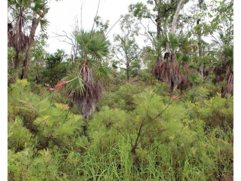 Darwin River NT 0841