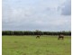 585 Miles Road, Batchelor NT 0845