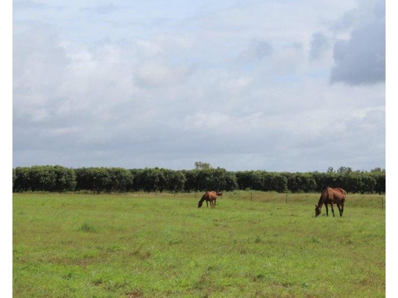 585 Miles Road, Batchelor NT 0845
