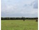 585 Miles Road, Batchelor NT 0845