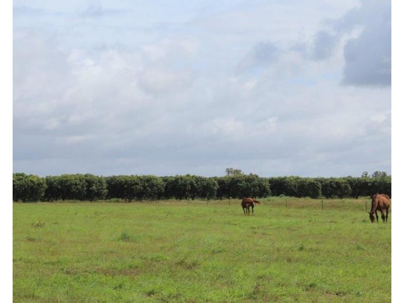 585 Miles Road, Batchelor NT 0845