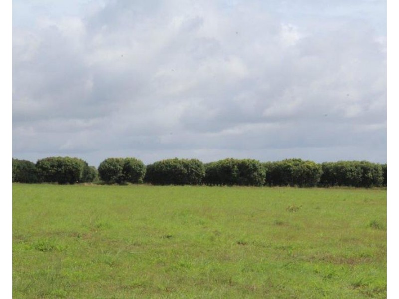 585 Miles Road, Batchelor NT 0845