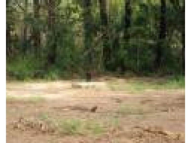 85 Produce Road, Humpty Doo NT 0836