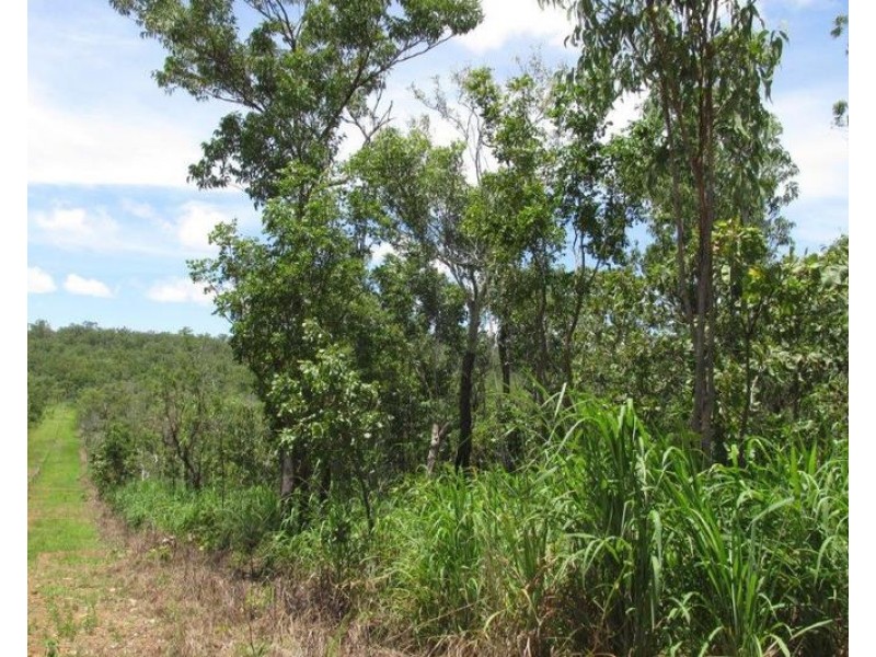 143 Lennox Road, Darwin River NT 0841