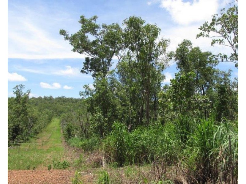 143 Lennox Road, Darwin River NT 0841