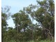 143 Lennox Road, Darwin River NT 0841